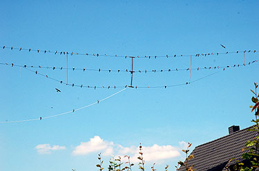 Antennen DL0UEM